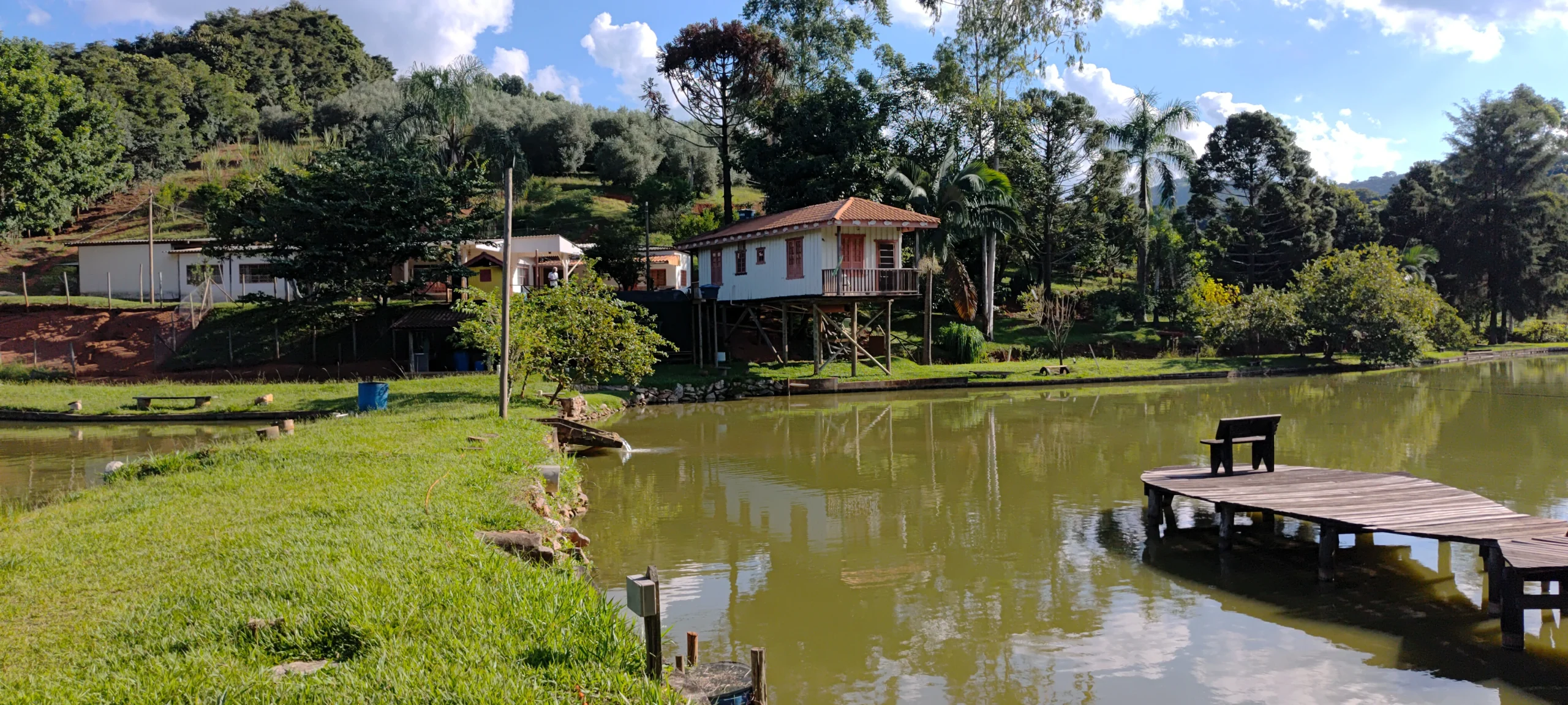 20250322_160617 OliVAS GERAIS AZEITE