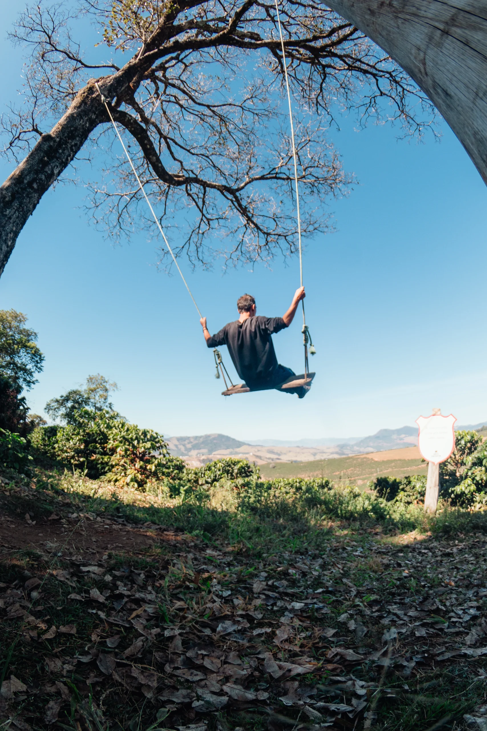 RotaCafeEspecialUnique2