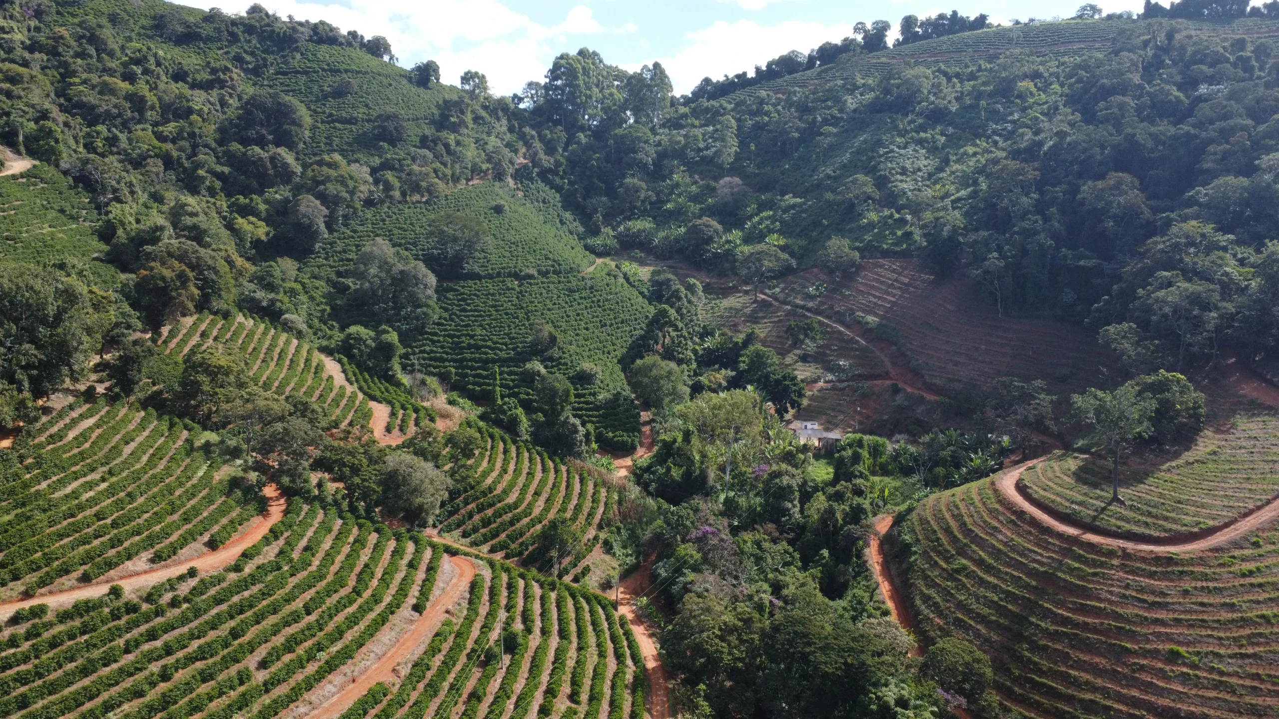 RotaCafeEspecialUnique6