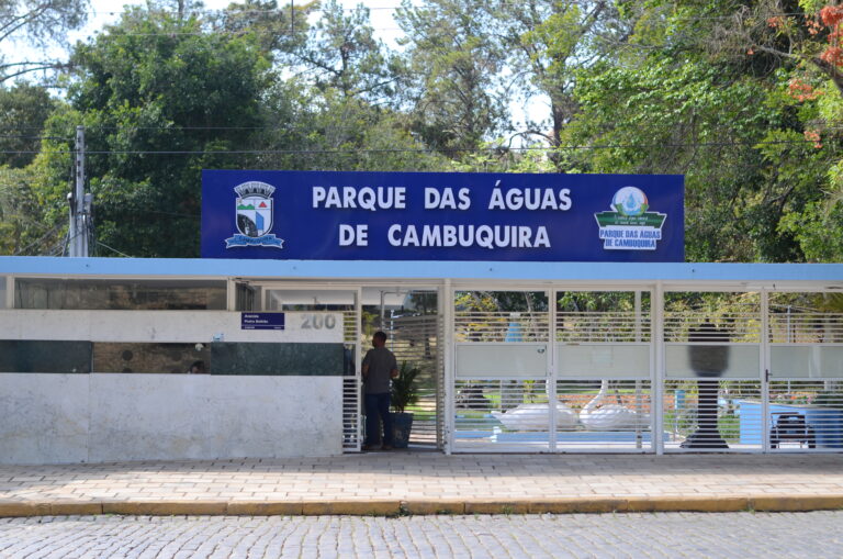 DSC_2010